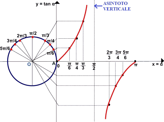 Rappresentazione grafica della funzione tangente