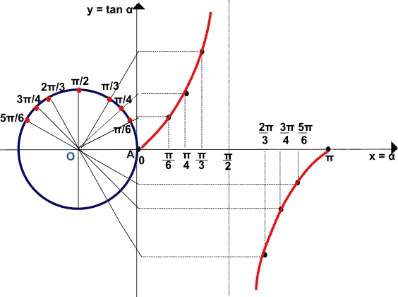 Rappresentazione grafica della funzione tangente