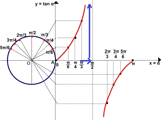 Rappresentazione grafica della funzione tangente