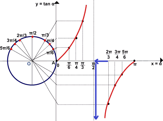 Rappresentazione grafica della funzione tangente