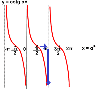 Rappresentazione grafica della funzione cotangente