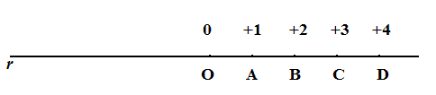 Rappresentazione grafica di un numero relativo
