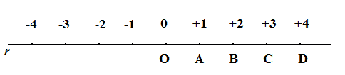 Rappresentazione grafica di un numero relativo