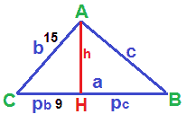 Problemi con teorema di Euclide