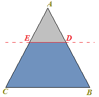 Trapezio
